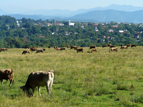 Foto Ocna Sugatag - un Barbizon (c) Petru Goja